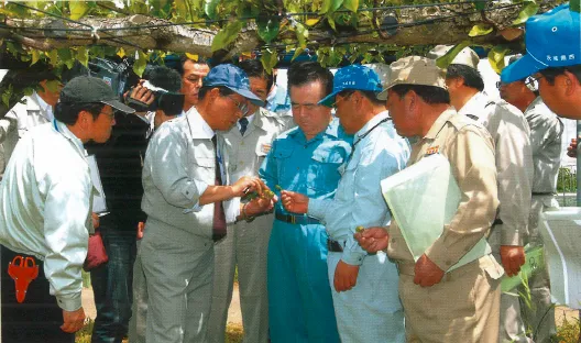 2007年5月 降ひょう被害を受けた梨園を茨城県知事らが視察