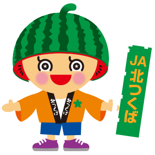 地産地消ボーイ　きらりくん（メインキャラクター）