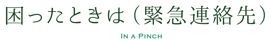 困ったときは（緊急連絡先）