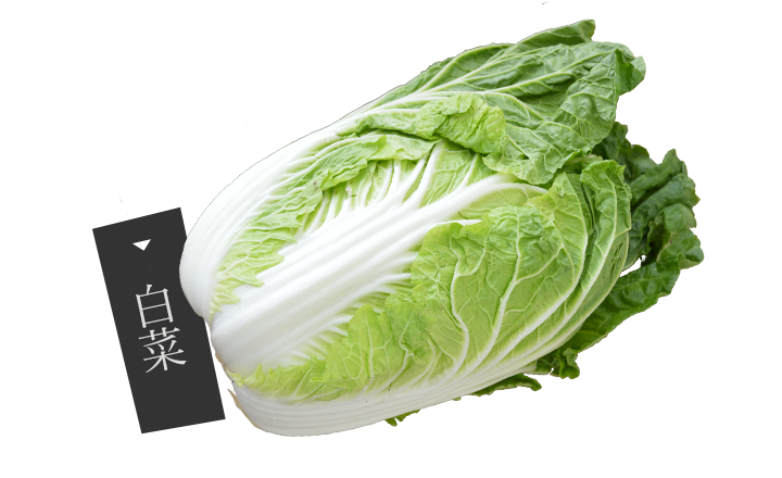 白菜